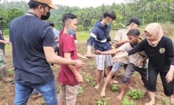Kuliah Kerja Nyata di Pangandaran, Mahasiswa Unsil Tanam Ratusan Pohon Kopi
