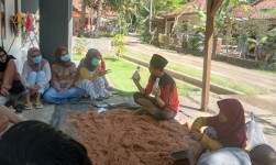 Bermodalkan Rp 25 Ribu, Santri Pembudidaya Jamur Tiram di Pangandaran Bisa Raup Omzet Jutaan