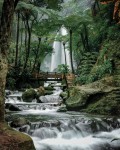 The beauty of Jumog Waterfall is like a painting in Karanganyar