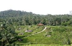  Terasering Bojongsari Tawarkan Wisata Budaya sekaligus Keindahan Alam, Ini Lokasinya   