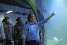 Soft Launching Aquarium Indonesia Pangandaran, Begini Kata Bupati