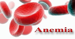 Penderita Anemia Wajib Simak, Buah yang Dapat Menambah Darah