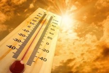 Hati-hati! Cuaca Panas Ekstrem Bisa Mengakibatkan Heatstroke