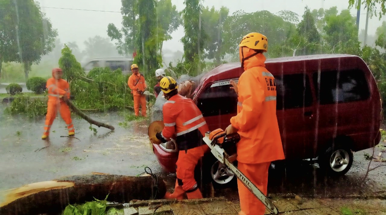 Angkutan Umum di Banjar Ringsek Tertimpa Pohon Tumbang