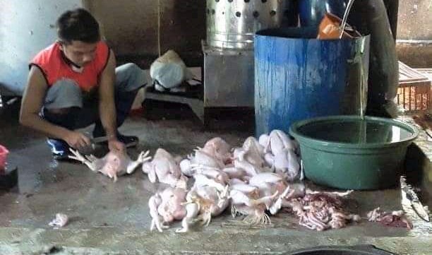 Dampak PPKM Darurat, Harga Ayam di Pangandaran Turun Drastis