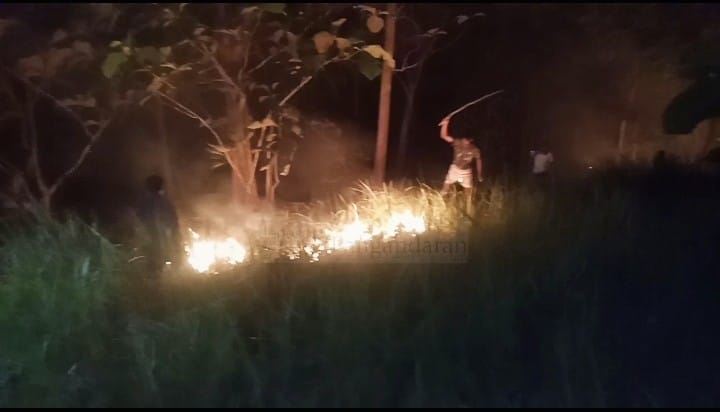 Tiga Hektare Lahan Pohon Jati Milik Warga di Pangandaran Terbakar