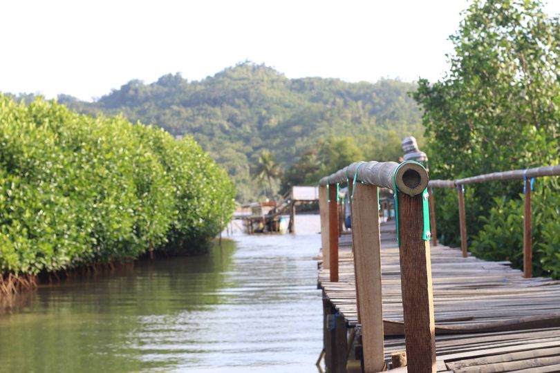 Kebumen Mangrove Forest, Green Tourism with Instragambale Spot