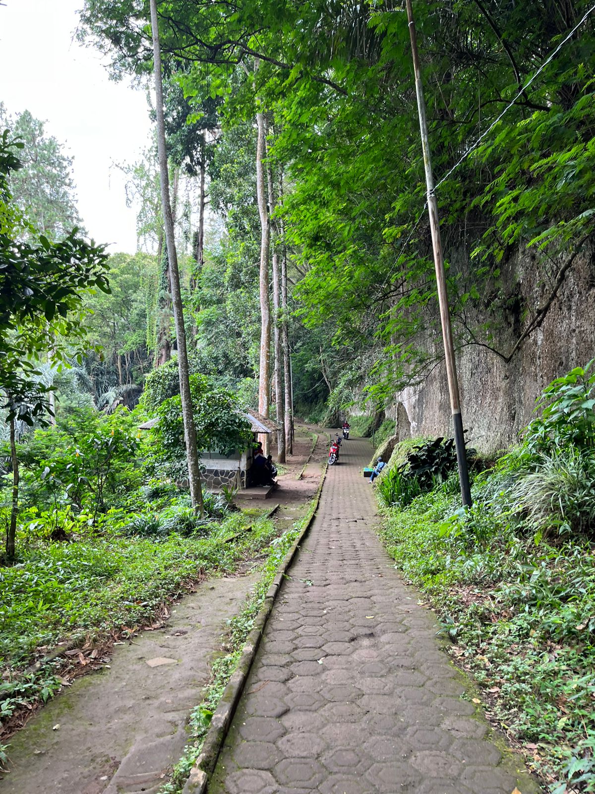 Menelusuri Tahura, Taman Hutan di Tengah Kota (Bagian-1)
